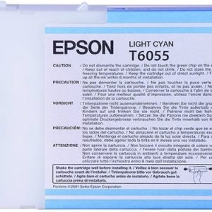 Hộp mực in phun màu Epson C13T605500