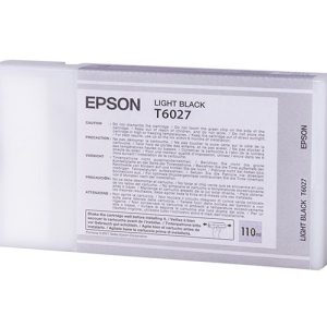 Hộp mực in phun màu Epson C13T602700