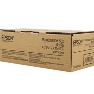 Hộp mực in phun màu Epson C13T699700